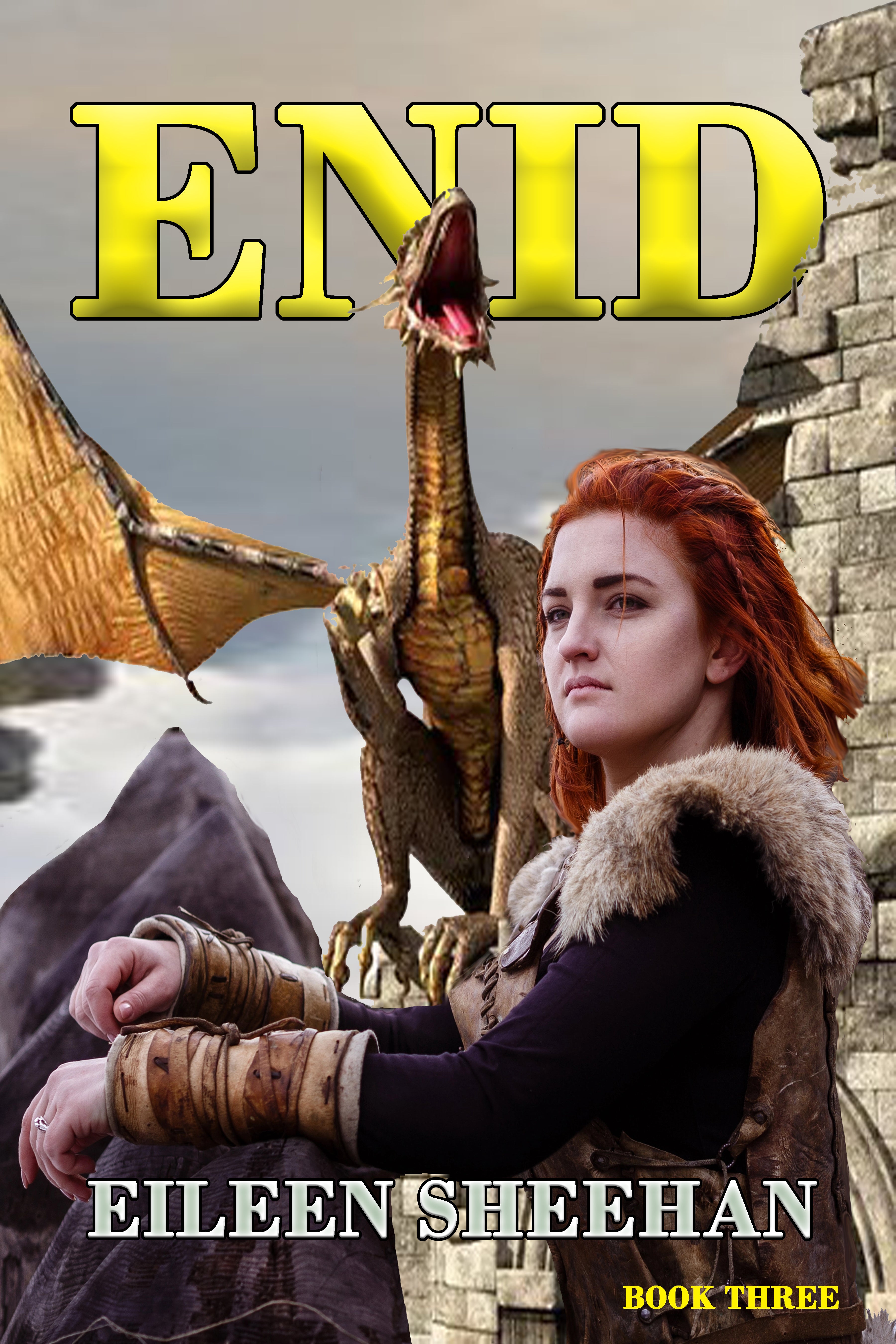 ENID (Book Three)