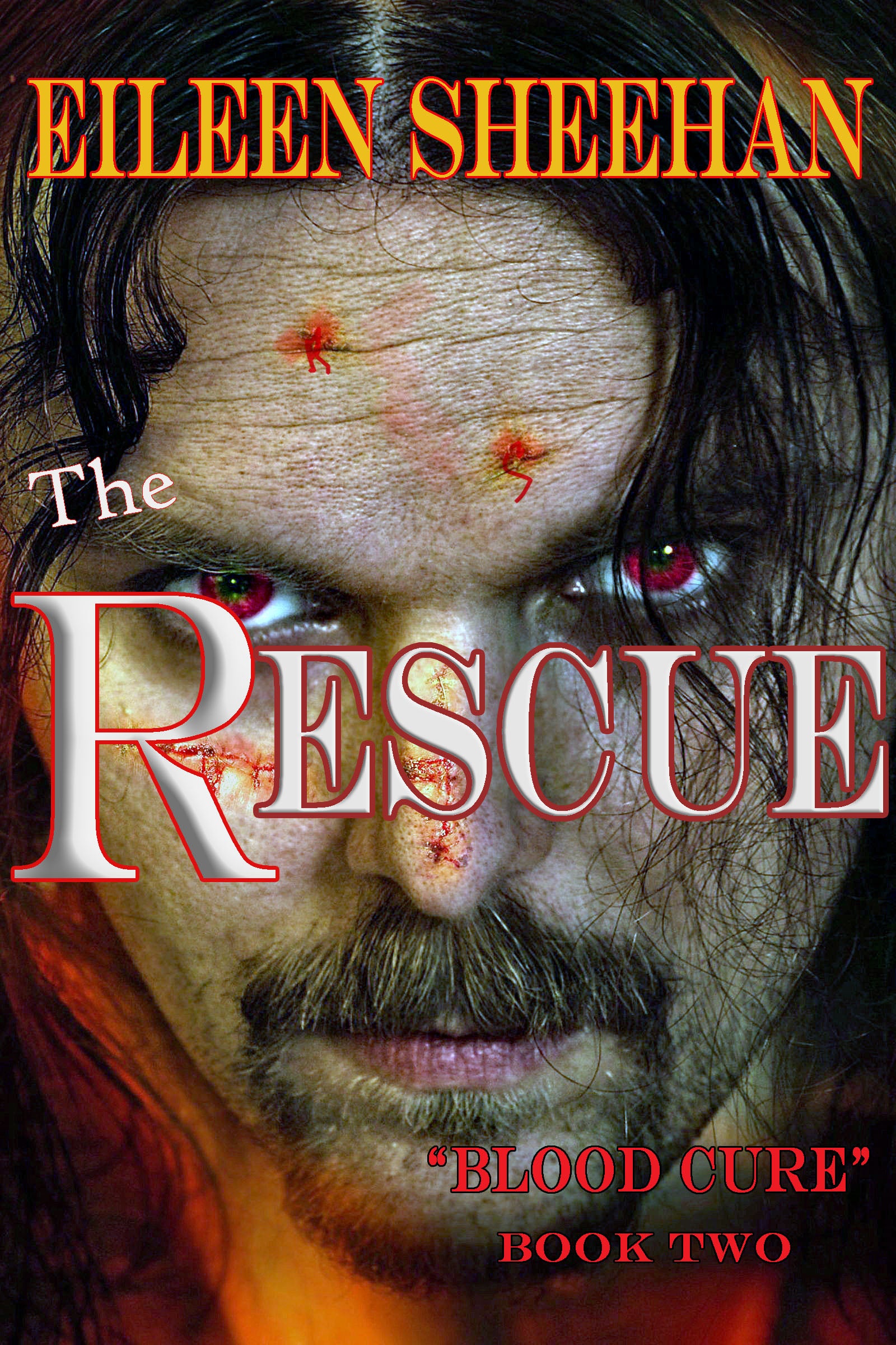 The Rescue